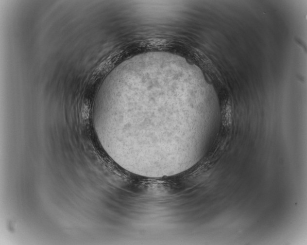 X0000100410472200806201803