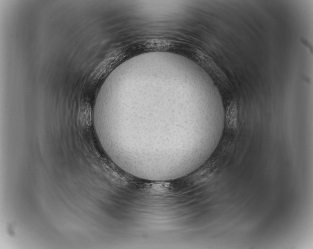 X0000100410474200806201803