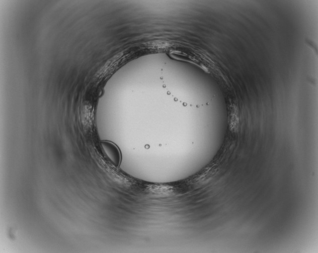 X0000100410476200806201803