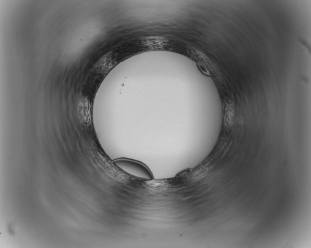 X0000100410477200806201803