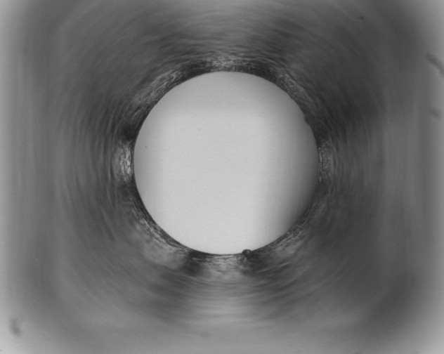 X0000100410479200806201803