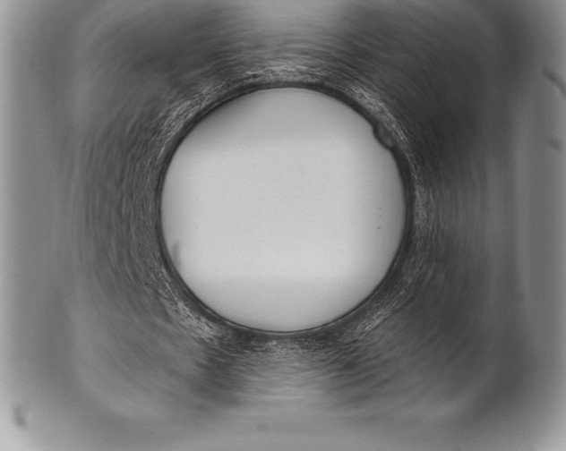 X0000100410481200806201803