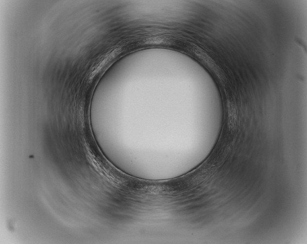 X0000100410482200806201802