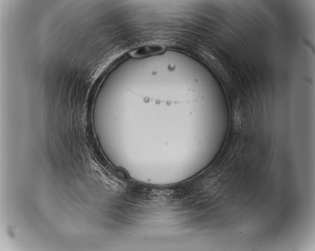 X0000100410484200806201802