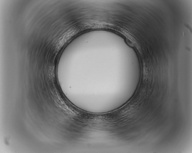 X0000100410485200806201802