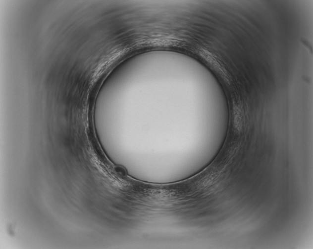 X0000100410486200806201802