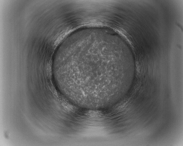 X0000100410487200806201802