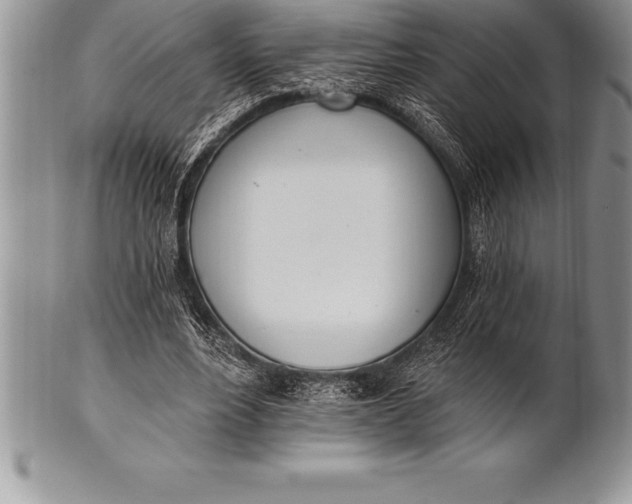 X0000100410488200806201802