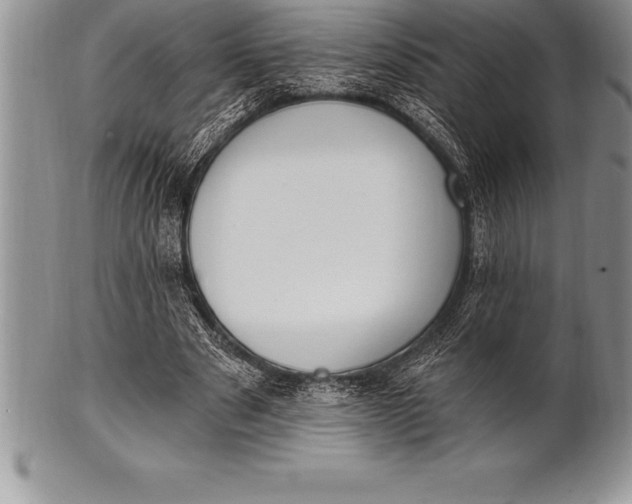 X0000100410489200806201802