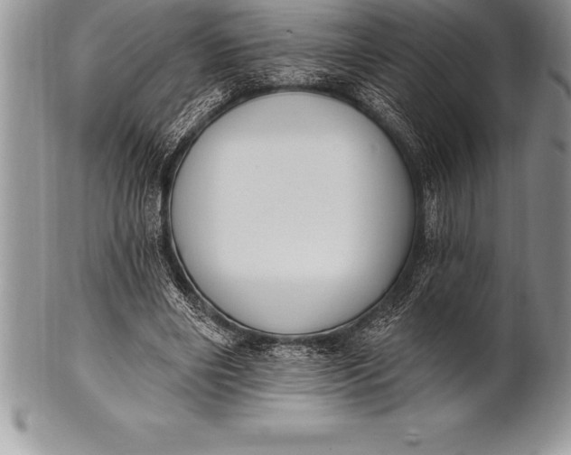 X0000100410490200806201802