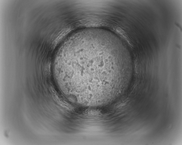 X0000100410491200806201802