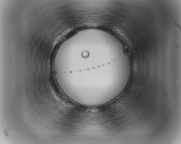 X0000100410492200806201802