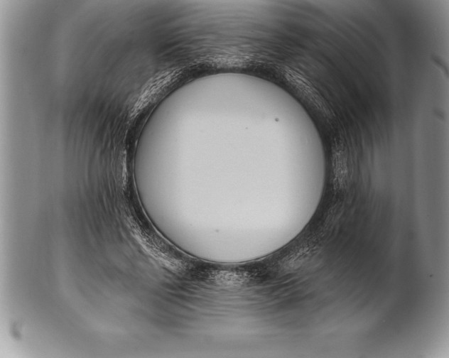 X0000100410494200806201802