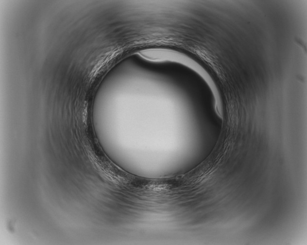 X0000100410495200806201802