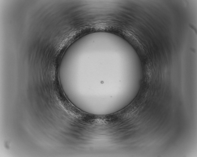 X0000100410496200806201802