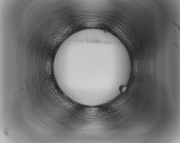 X0000100410497200806201802