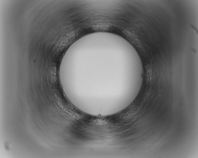 X0000100410498200806201802