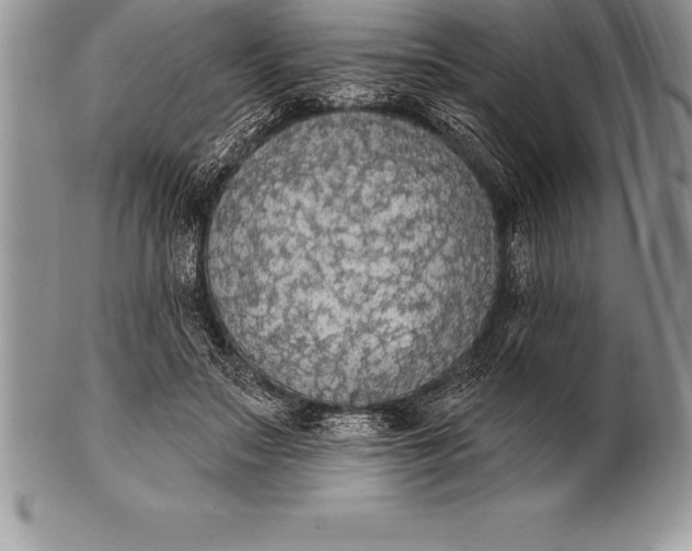 X0000100410499200806201802