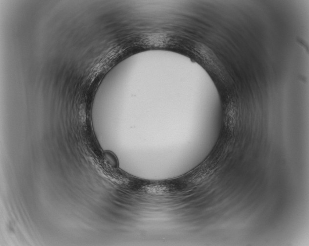 X0000100410500200806201802