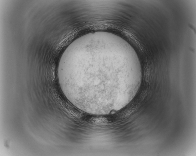 X0000100410501200806201802