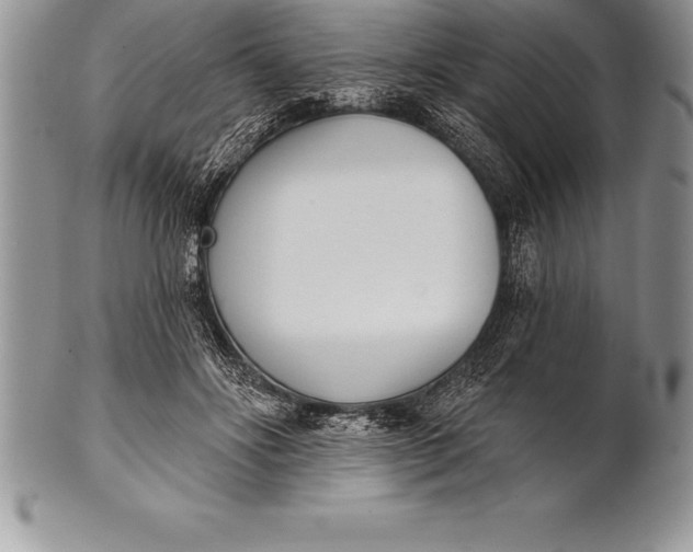 X0000100410502200806201802