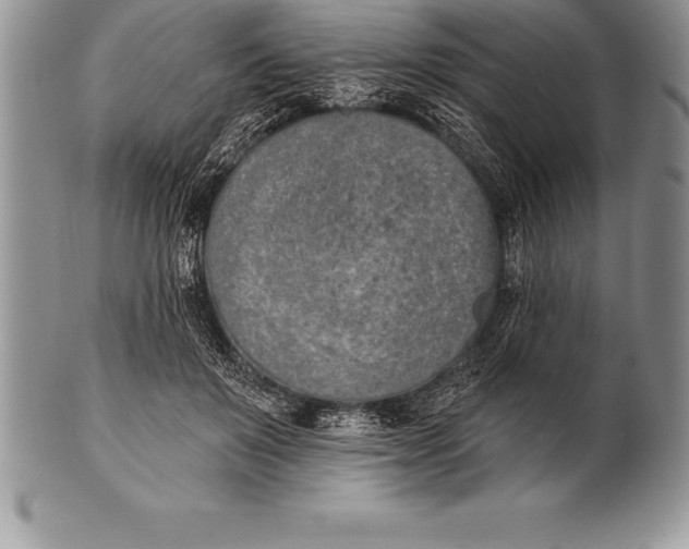 X0000100410503200806201802