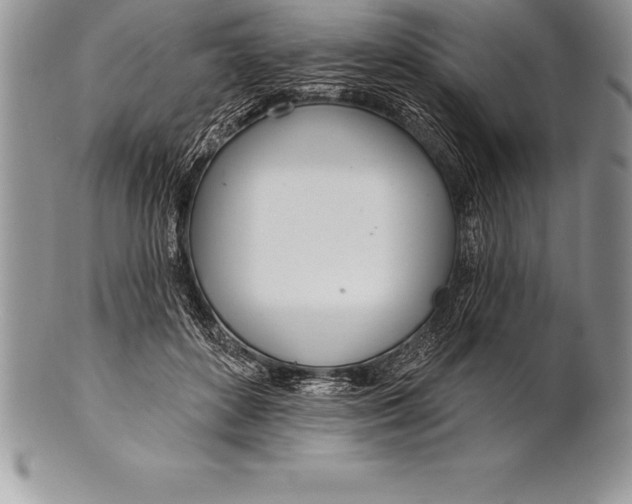 X0000100410504200806201802