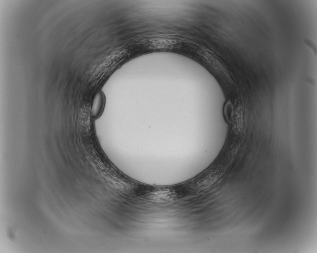 X0000100410505200806201802