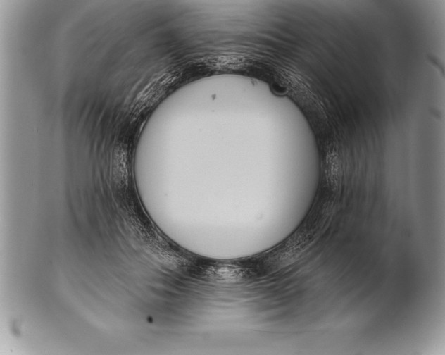 X0000100410506200806201802