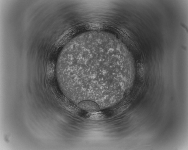 X0000100410507200806201802