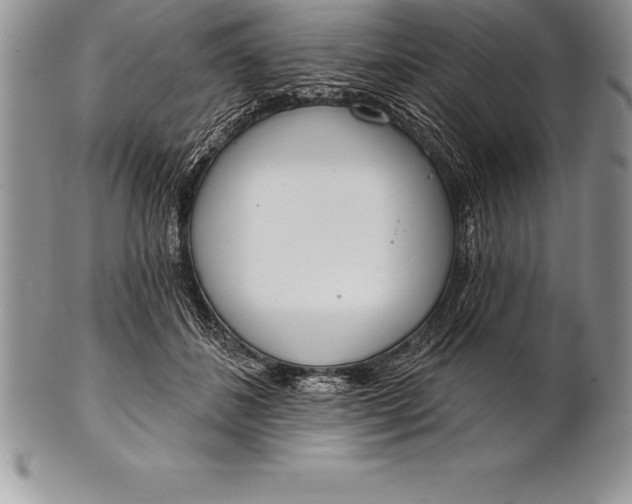 X0000100410508200806201802