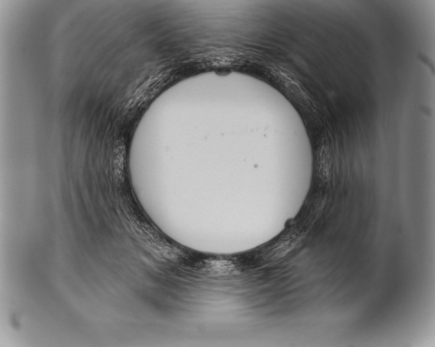 X0000100410509200806201802