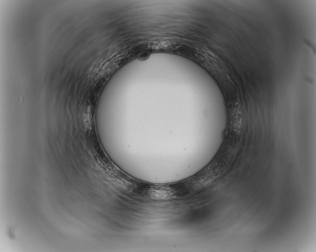 X0000100410510200806201802