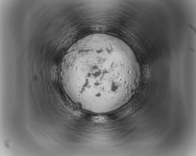 X0000100410511200806201802