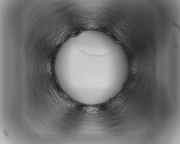 X0000100410512200806201802