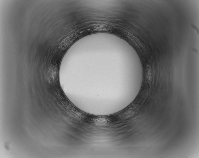 X0000100410513200806201802