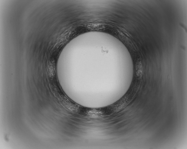 X0000100410515200806201802