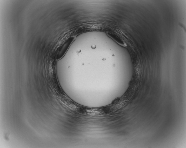 X0000100410516200806201802