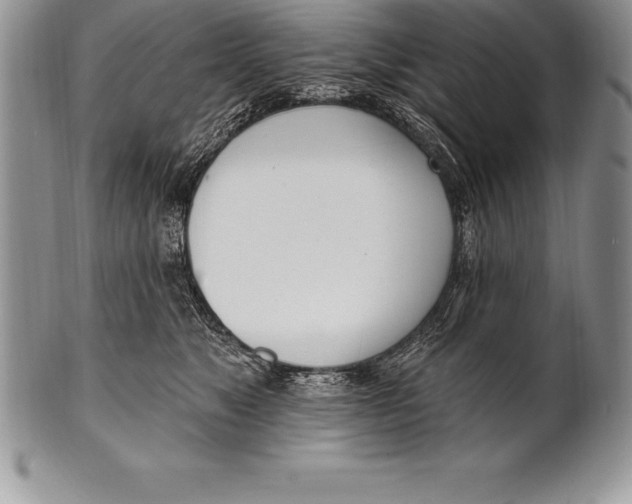 X0000100410517200806201802