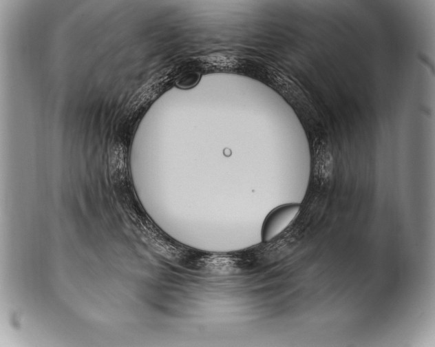 X0000100410518200806201802