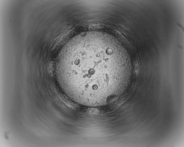 X0000100410519200806201802