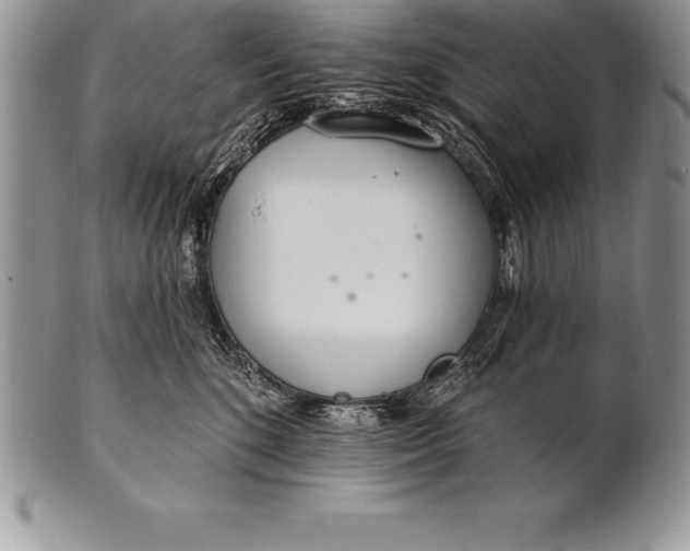 X0000100410520200806201802