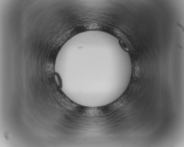 X0000100410521200806201802