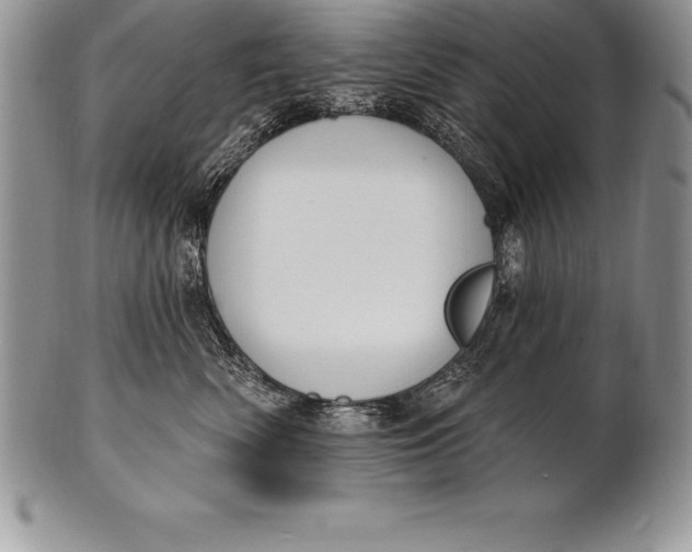 X0000100410522200806201802