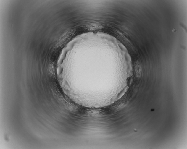 X0000100410523200806201802