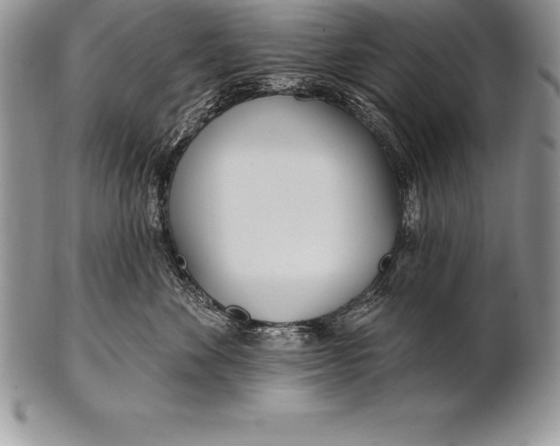 X0000100410524200806201802