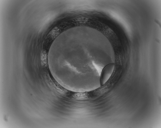 X0000100410526200806201802