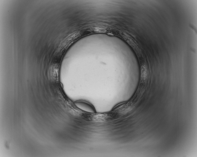 X0000100410527200806201802