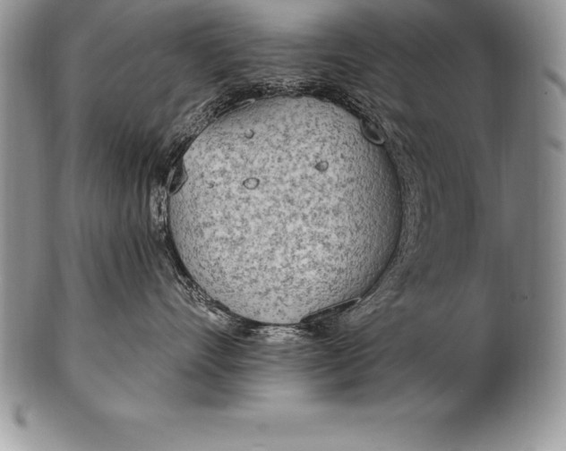 X0000100410528200806201802