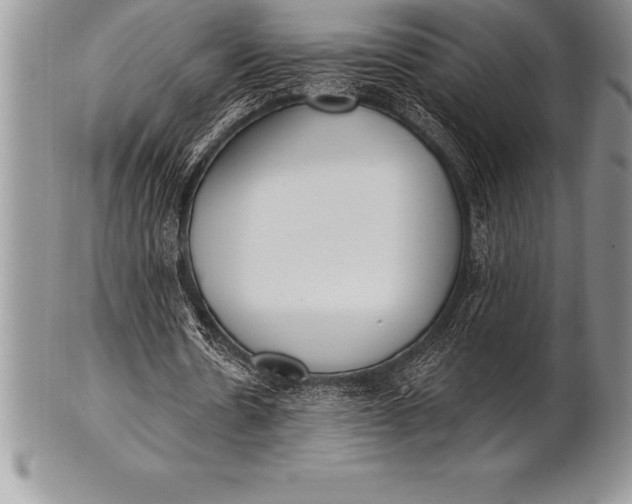 X0000100410530200806201801